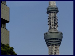 Skytree from Asakusa